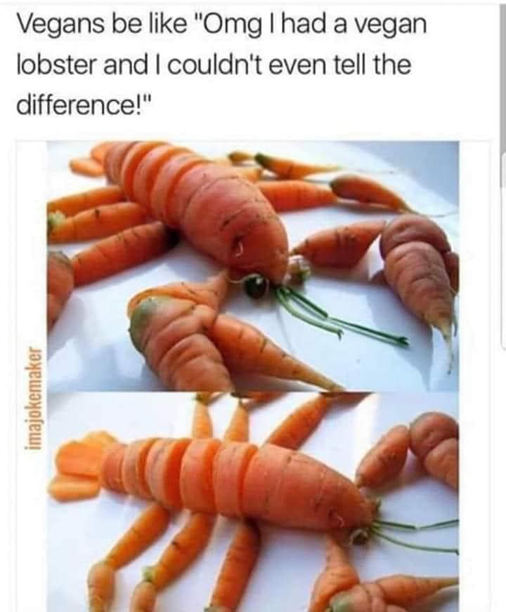 335676401_1373523450154300_2265876796349815124_n.jpeg