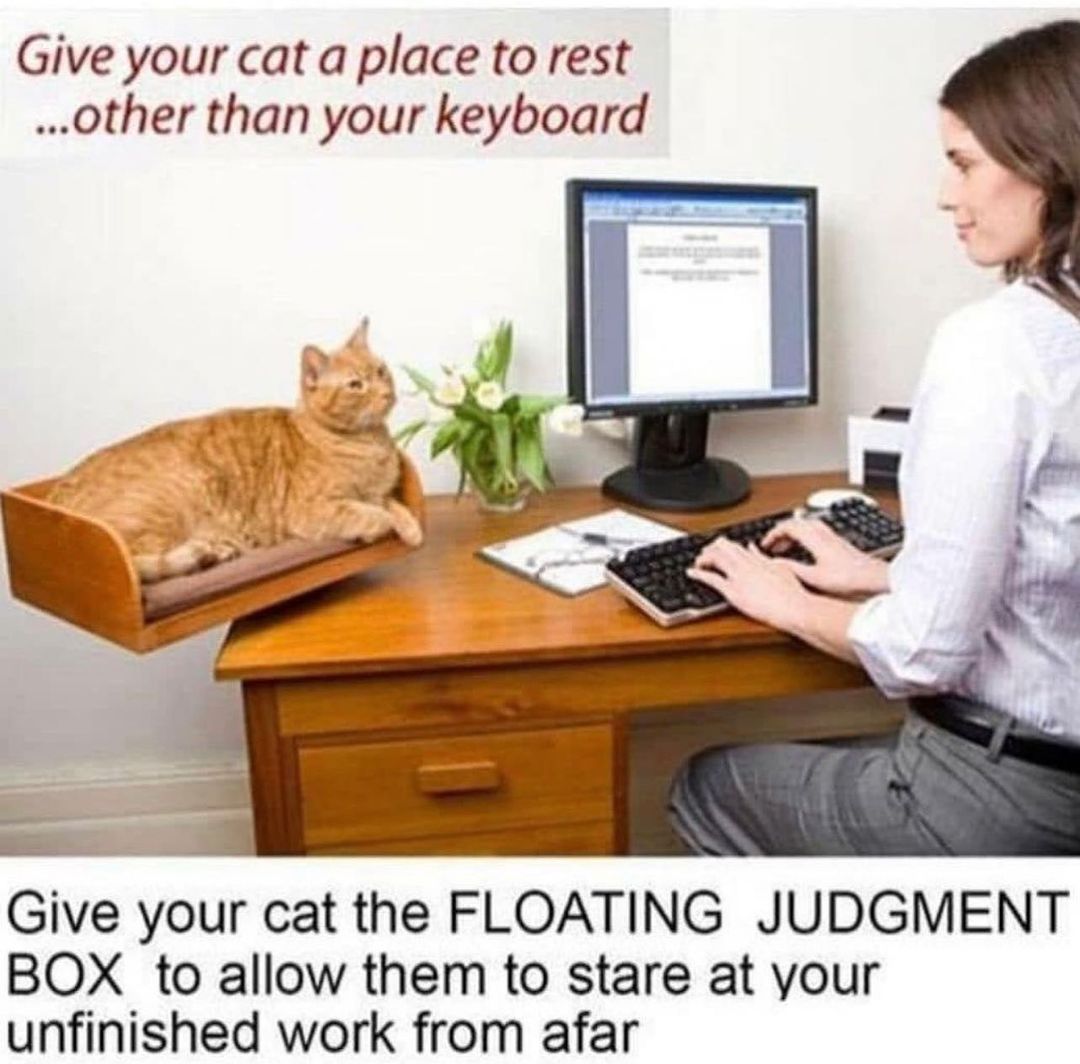 336164983_1190068908545493_8964118277459960400_n.jpeg