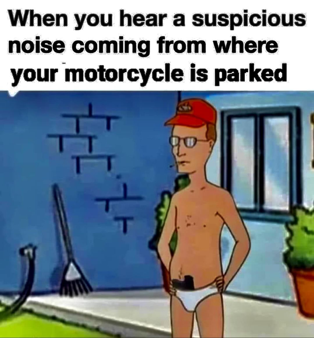 336359626_764344135096097_1281270160165114908_n.jpeg
