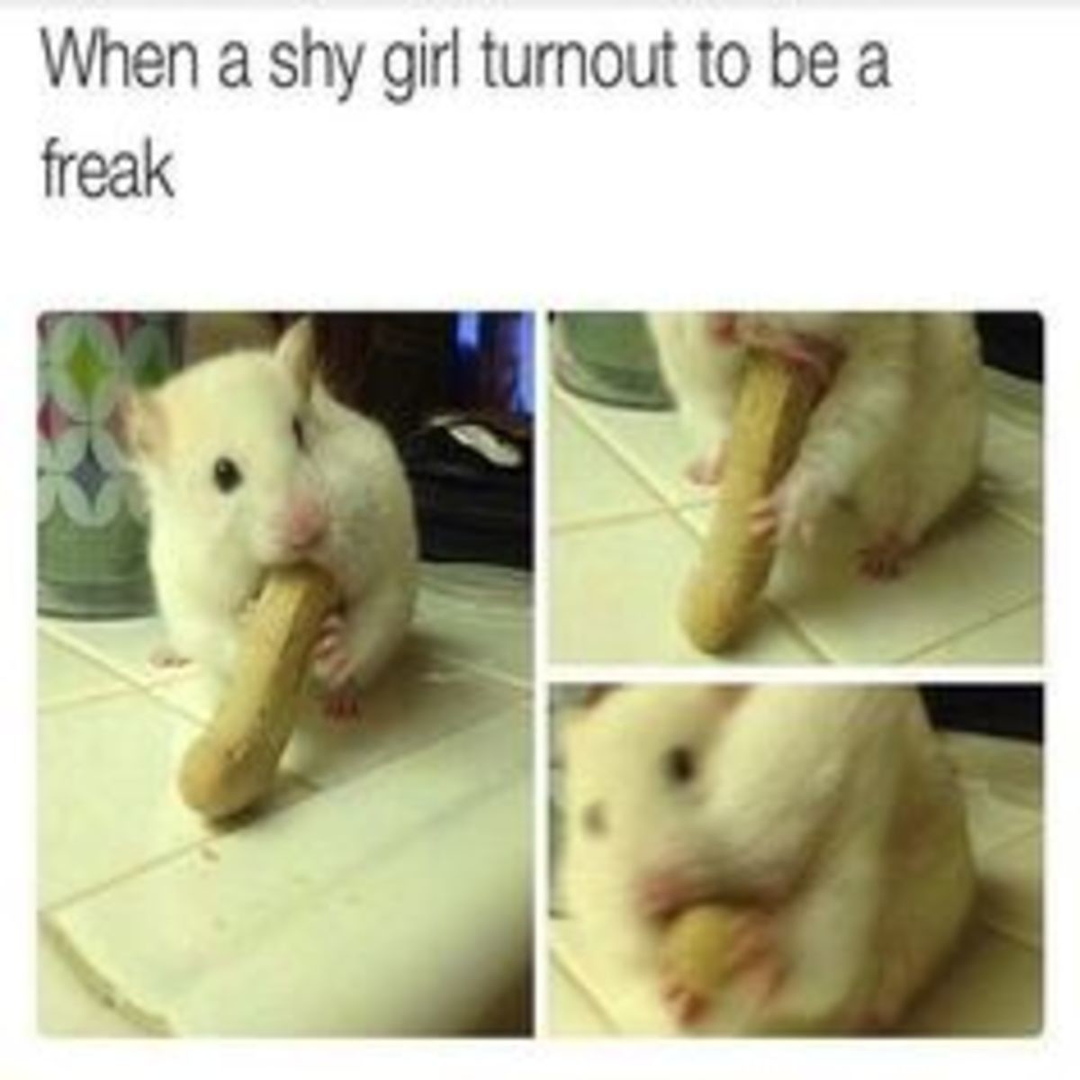 33684F8E-07D5-41B1-B3B8-06EF5F87E39A.jpeg