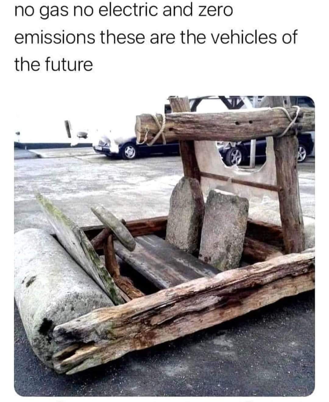 337020626_750432060195930_3384011583741302156_n.jpeg
