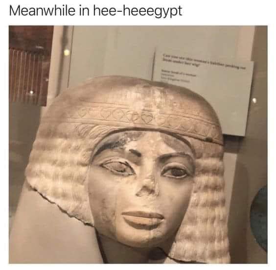 337085889_695082442363624_3724634174895919793_n.jpeg