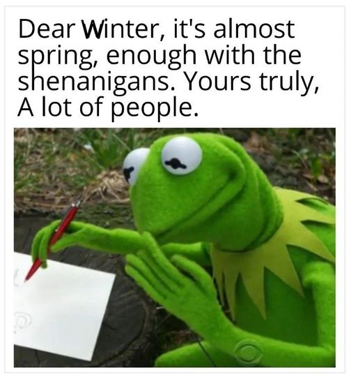337104898_1364716404307486_5789288815833399935_n.jpeg