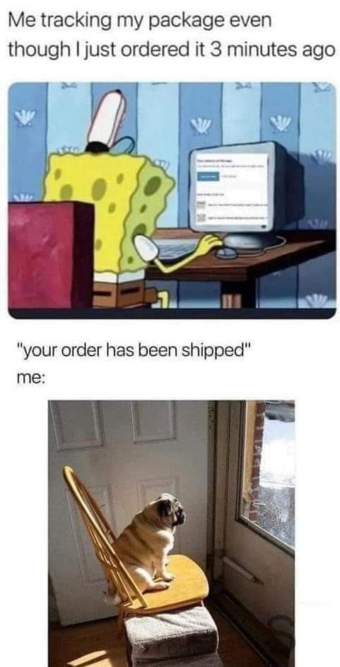 337126805_193957520003762_7245977100603877932_n.jpeg