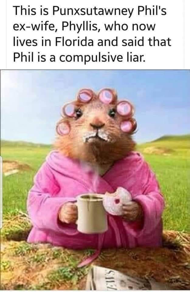 337281477_230020186178803_217820224754195193_n.jpeg