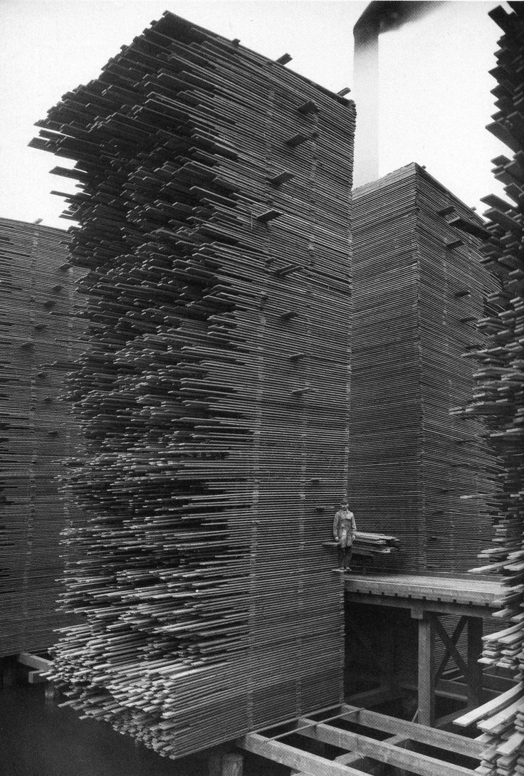 337672271_767359104602857_3572937707585469656_n.jpeg