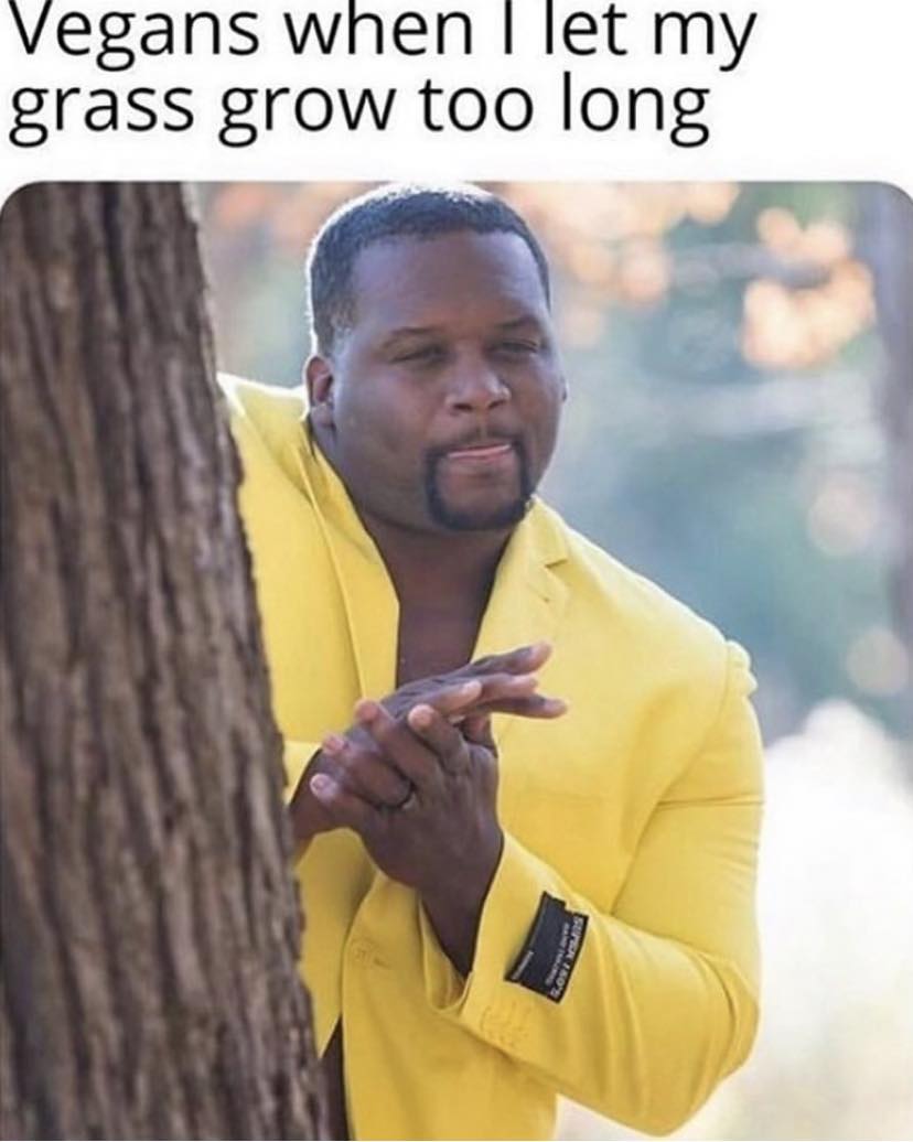 337728213_104595069261190_7355733072059574604_n.jpeg