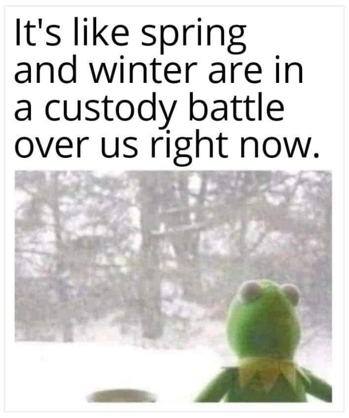 337855650_5903752866326730_5508952267530981929_n.jpeg
