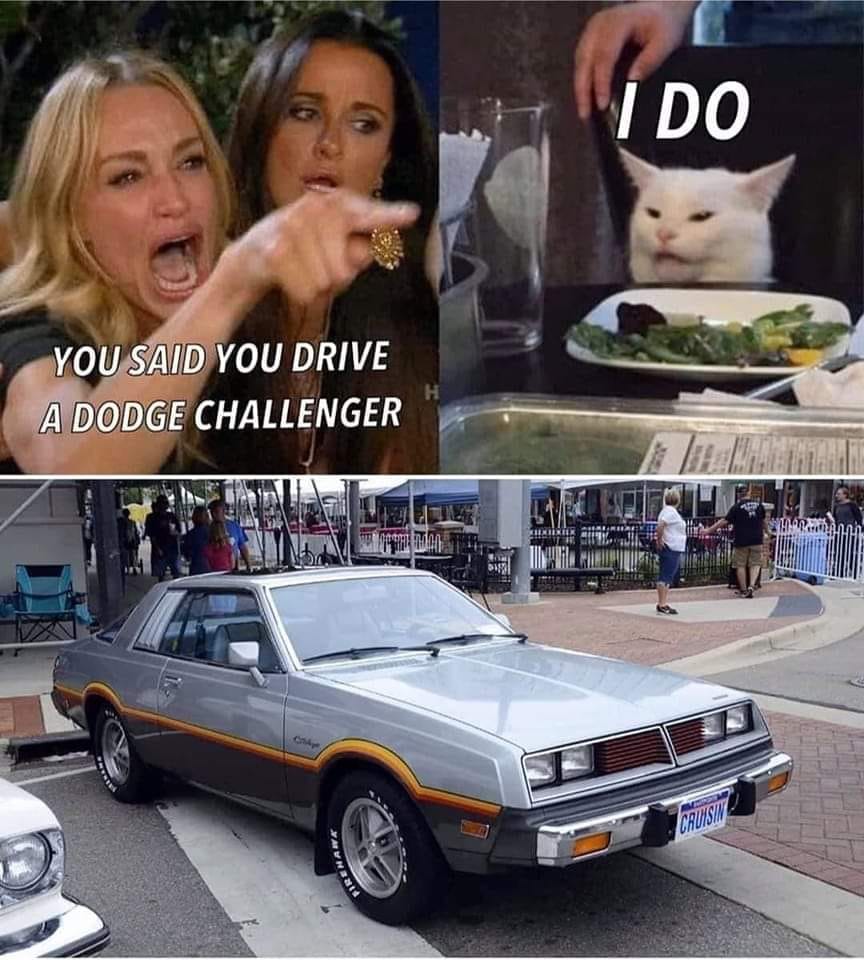 337881079_766819431777667_7476312449517845822_n.jpeg
