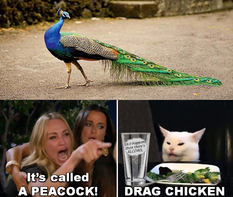 338145035_3492724991008545_673790417886992230_n.jpeg