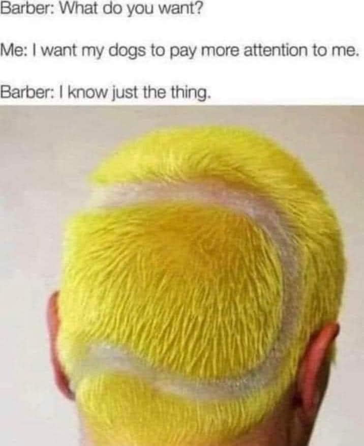 338381864_225143850029926_6396372883533252585_n.jpeg