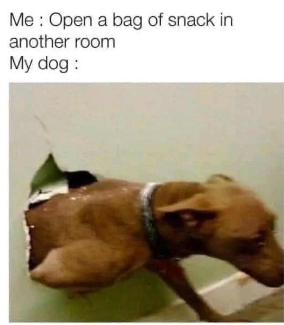338496095_1201261227080026_7819660640763546882_n.jpeg
