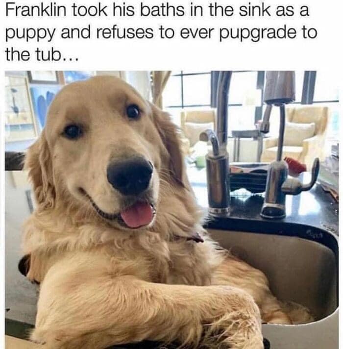 338505070_213430834707729_7618962545592081158_n.jpeg