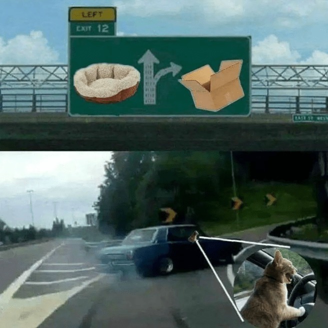 339115501_745623480455847_7179469068262539385_n.jpeg