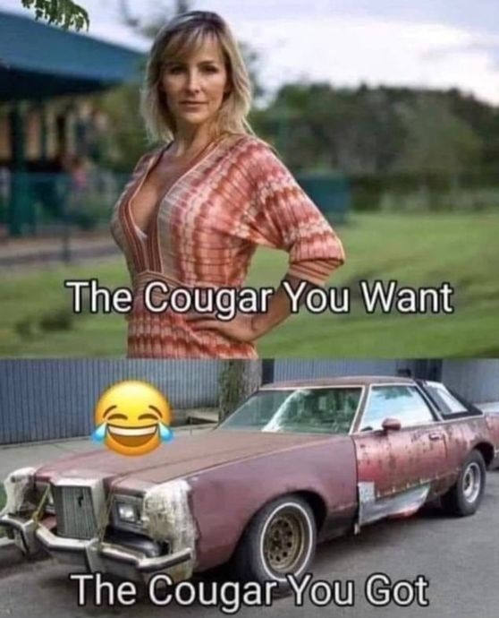 339120451_187984284018832_4700971946789101065_n.jpeg