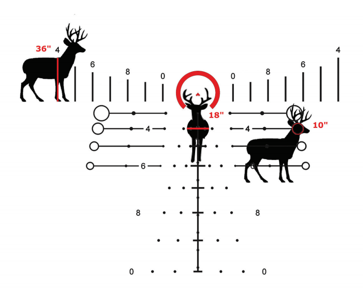 34.png