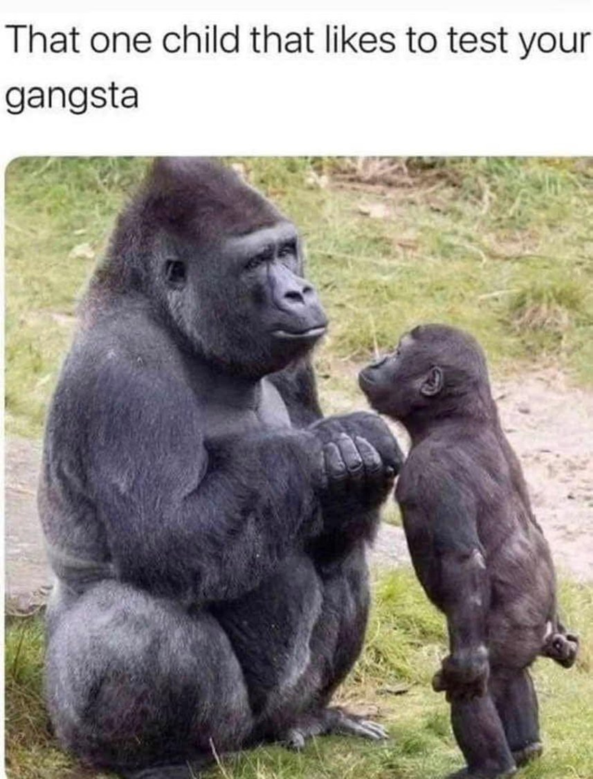 340808900_923400865572855_346548320498502070_n.jpeg