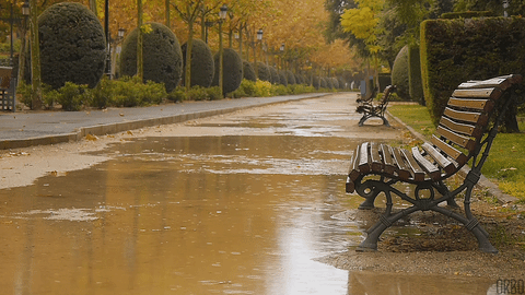 34090FFD-565D-4EB1-86FD-F11A6C93243A.gif