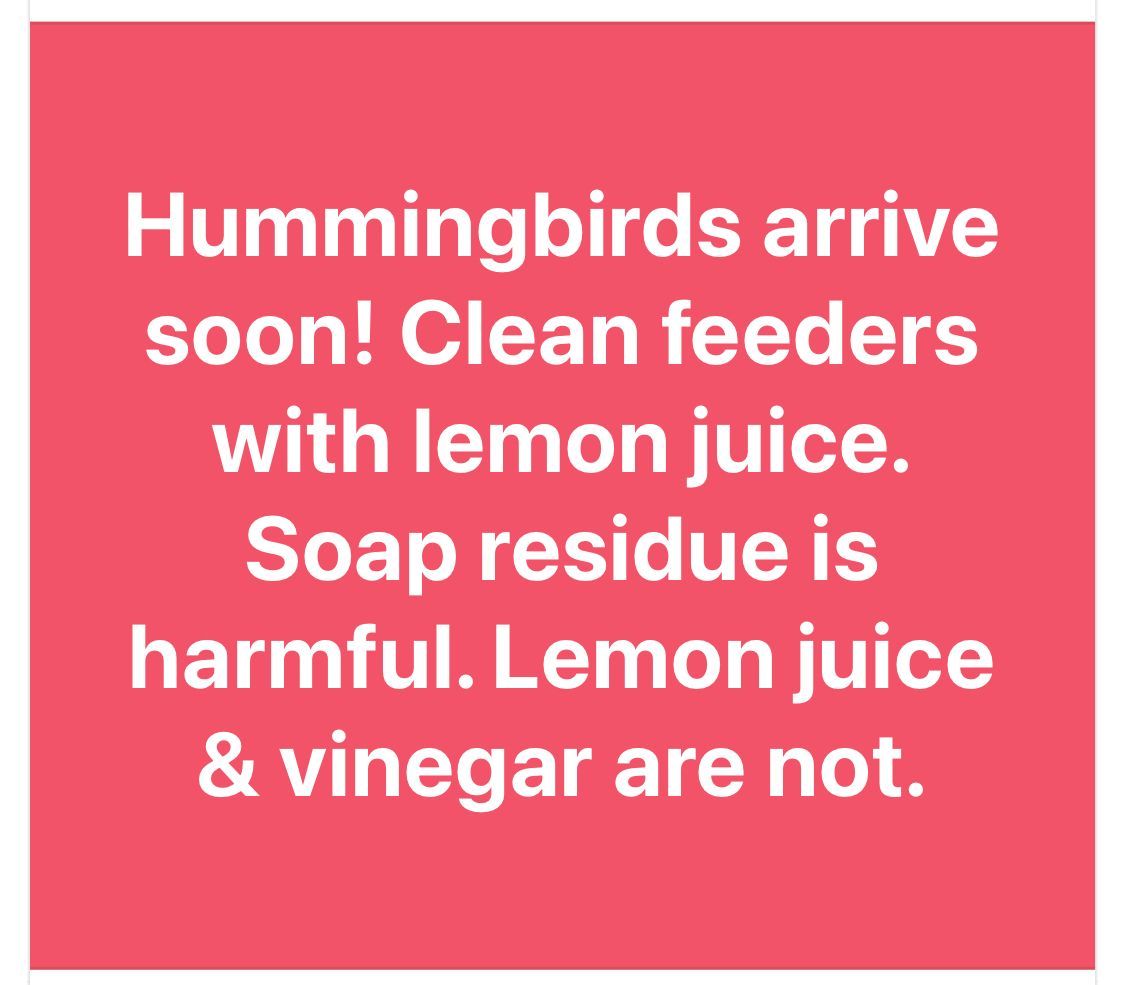 341342497_1134139840758486_5625428966479745736_n.jpeg