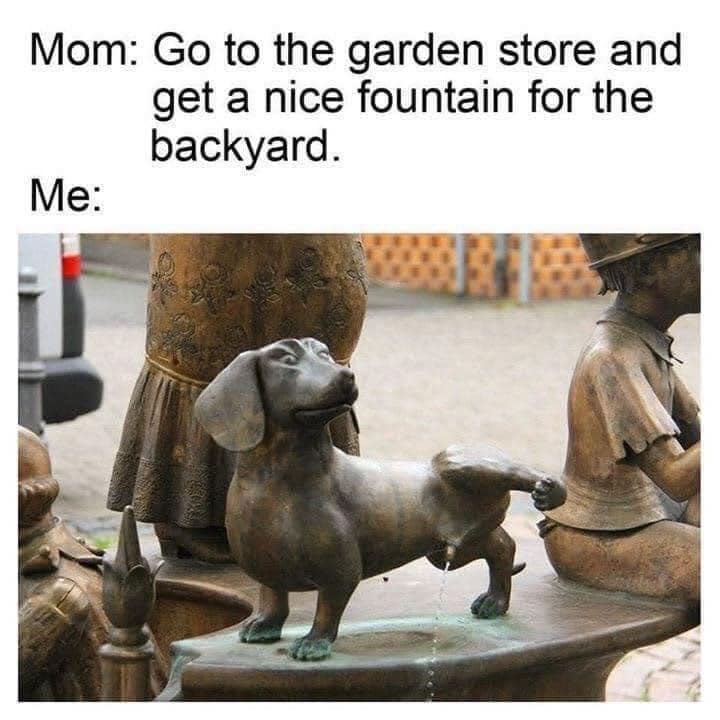 341550914_766909408280518_2782197608756365755_n.jpeg