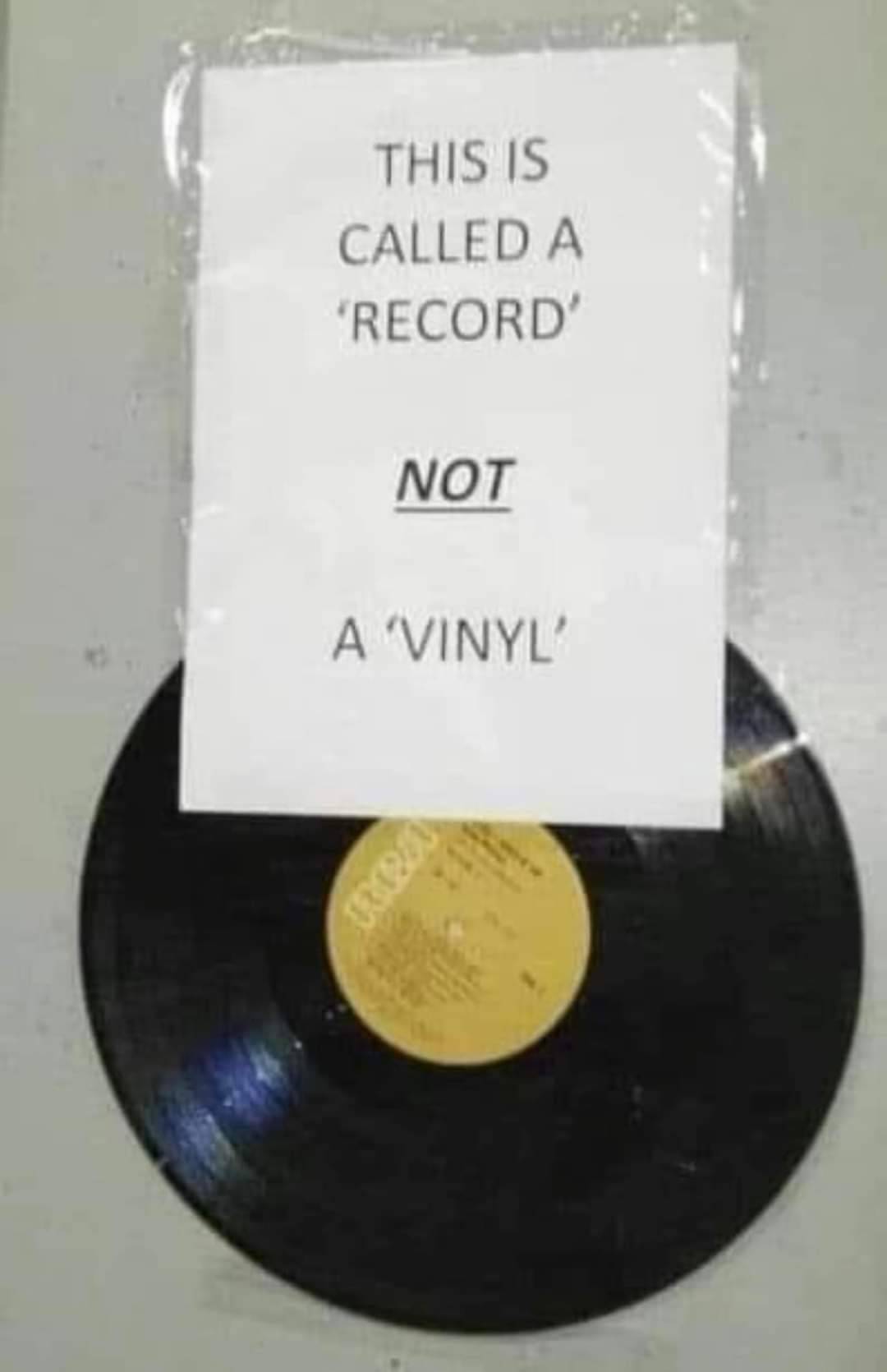 341726899_777736617009439_6168918226766091516_n.jpeg