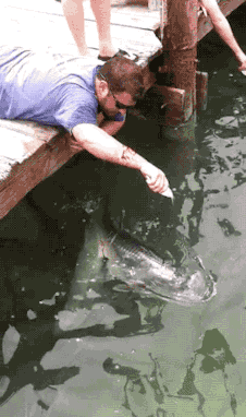 34177314-83DE-41E6-9AD2-D8DC53B88E37.gif