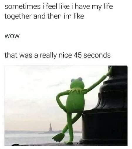 341816382_6060629510723818_1345777463684552287_n.jpeg