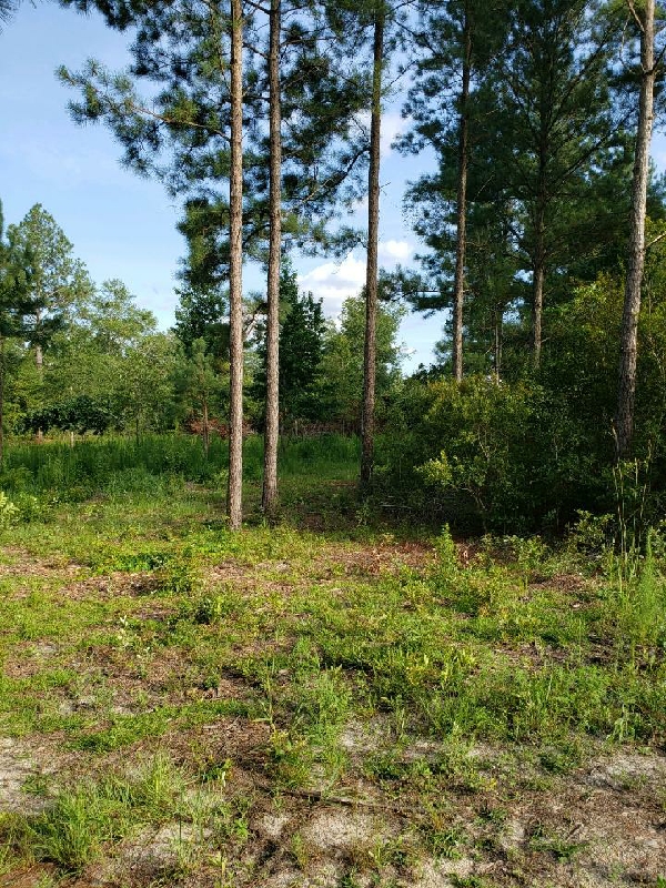 3420_resize_52.jpg