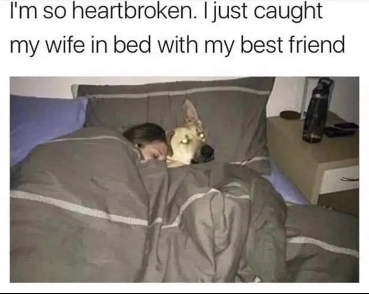 342190499_208152128629699_4212766532120833894_n.jpeg