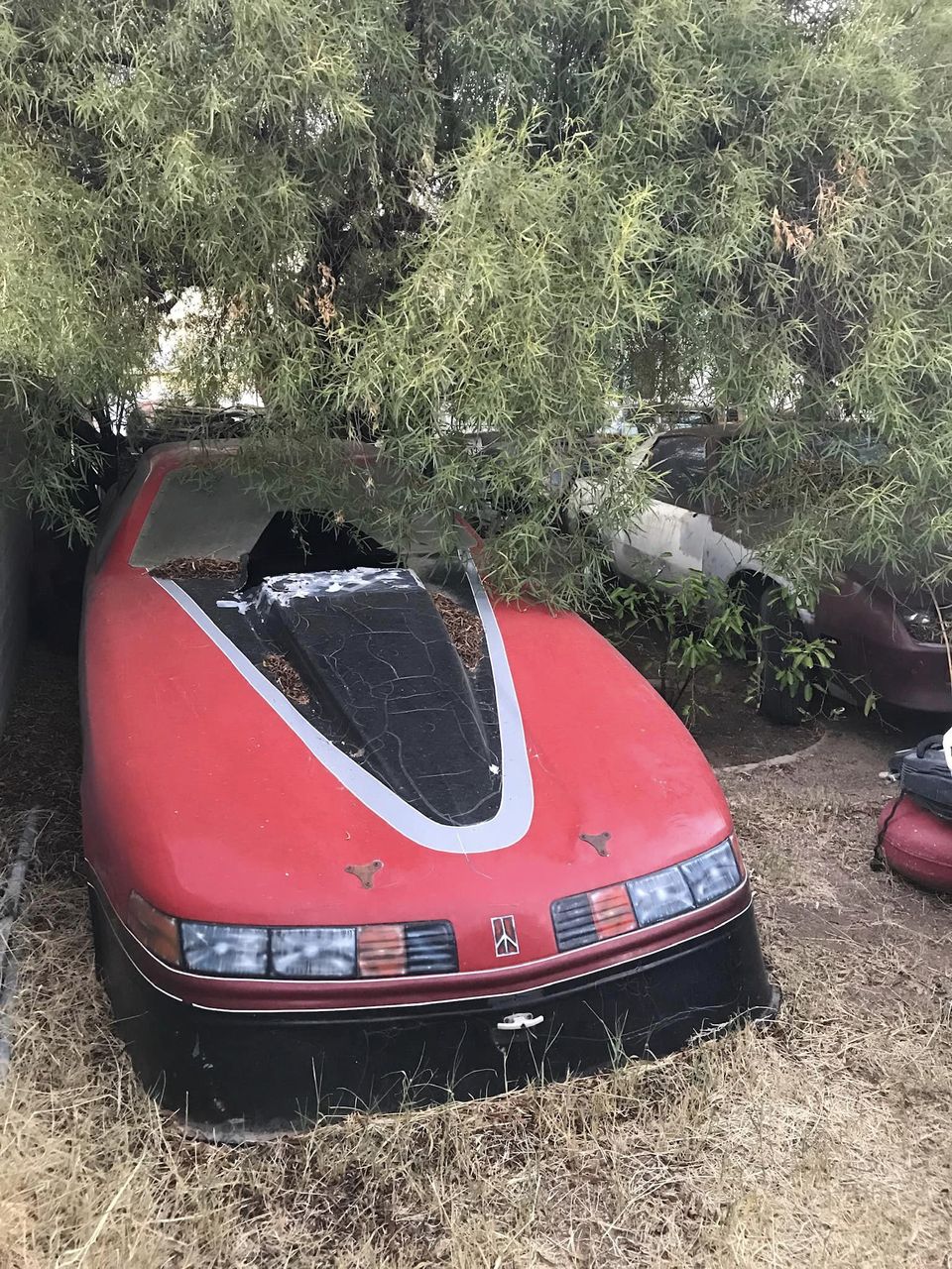 342198790_1165168184883771_4791491625384653474_n.jpeg