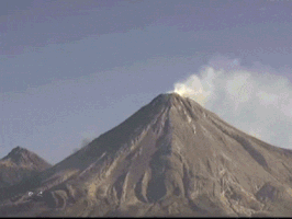 3423927E-FF2F-4143-83F6-A68C835AC925.gif