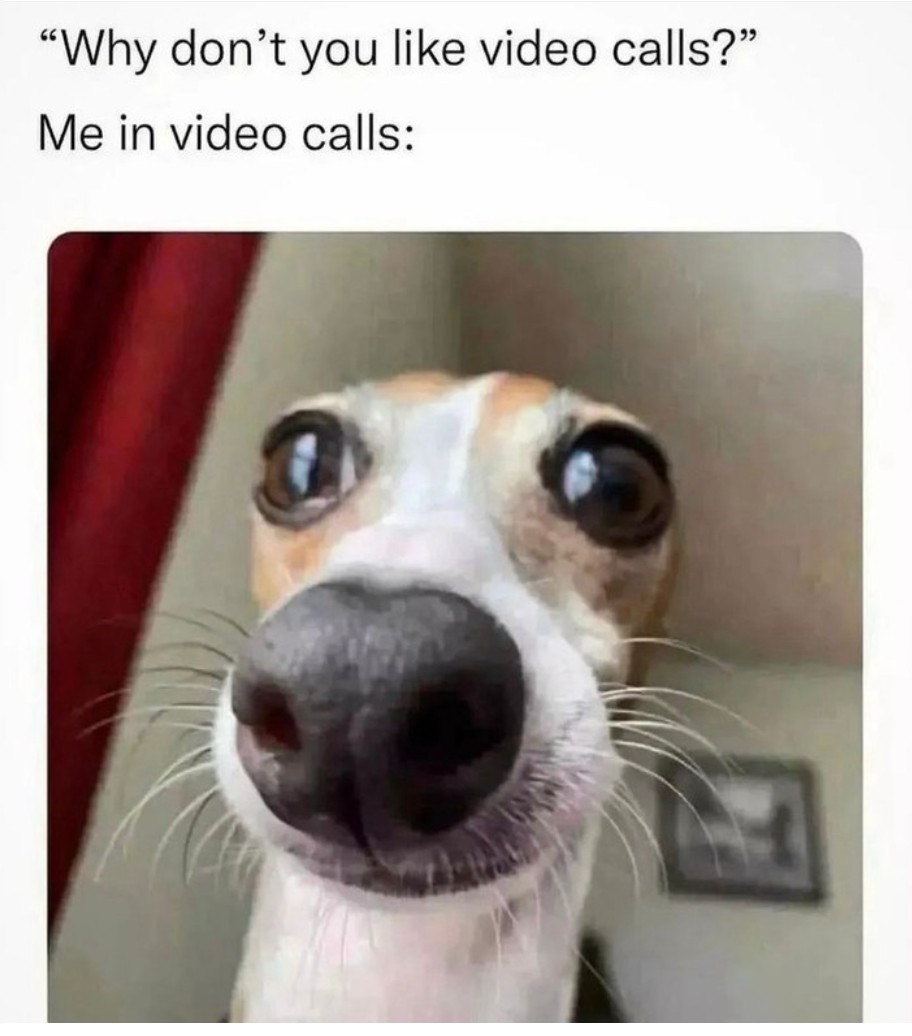 342867266_1367224947446900_3511255382437441657_n.jpeg