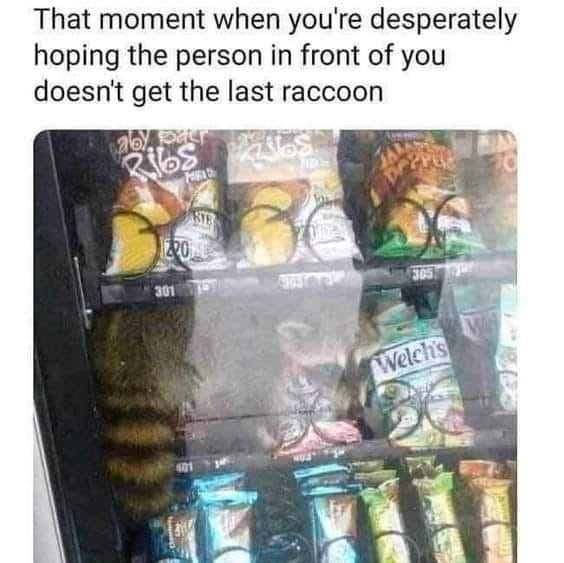 343088023_656934849593803_6904986179441545593_n.jpeg