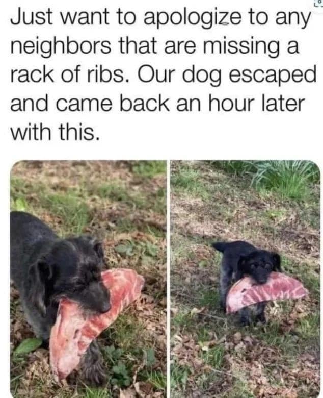 343411859_777996757243901_8197802070542201699_n.jpeg