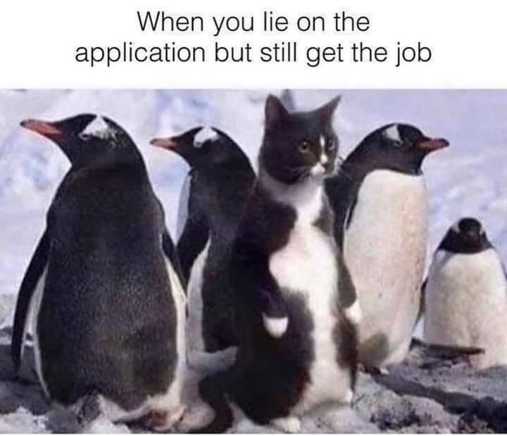344817819_3333385220308255_3733417211818312978_n.jpeg