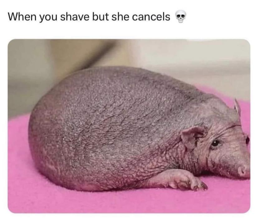 345228505_1049059512734940_101909091670679077_n.jpeg