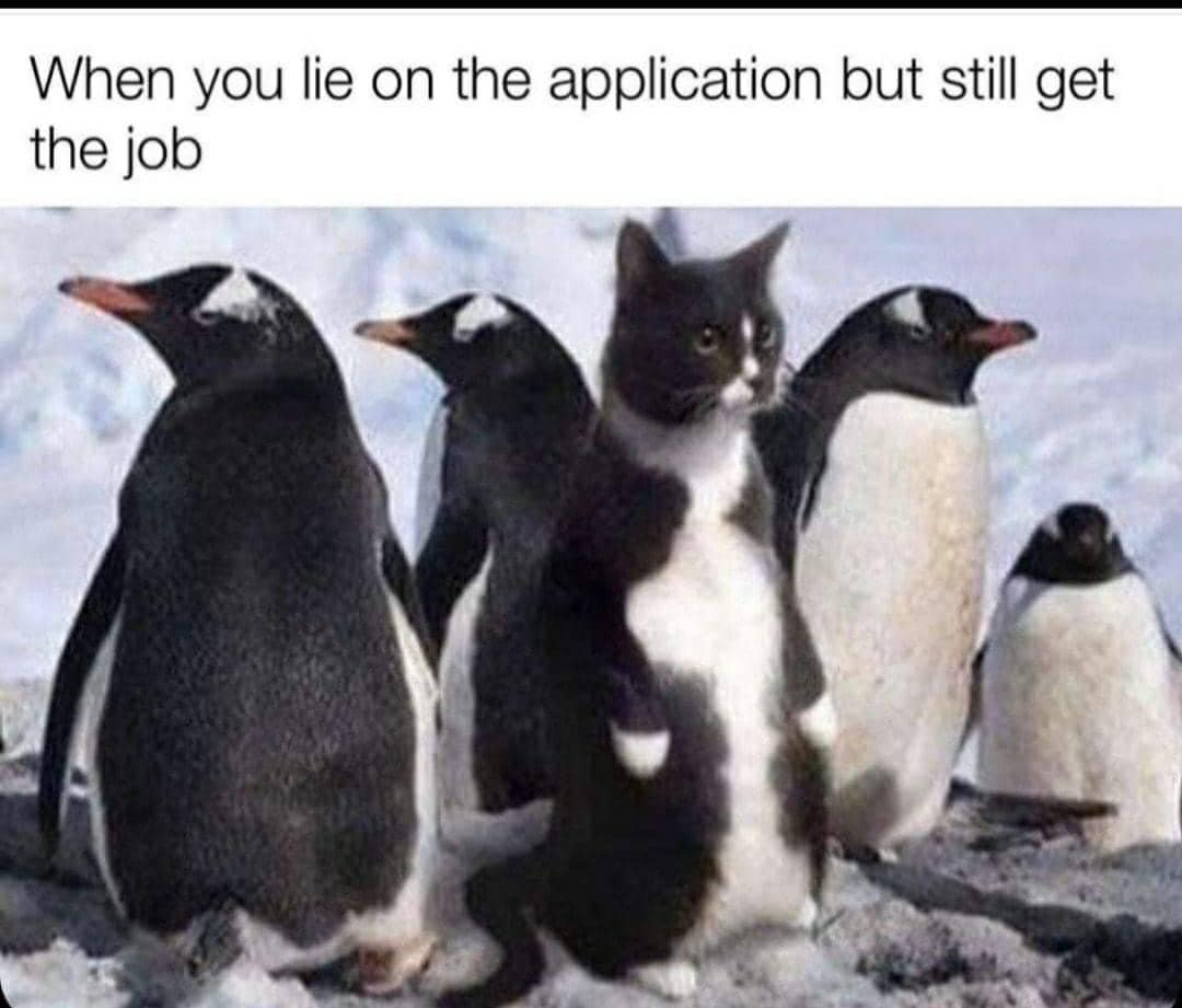 345647096_928237645051688_604892078336124739_n.jpeg