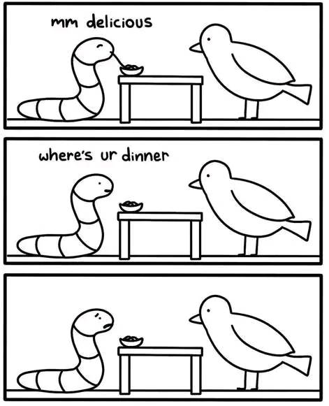 346098553_1415088562625397_1250229260020554683_n.jpeg