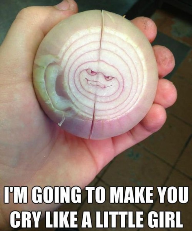 346289041_633423891560194_1809341655191283485_n.jpeg