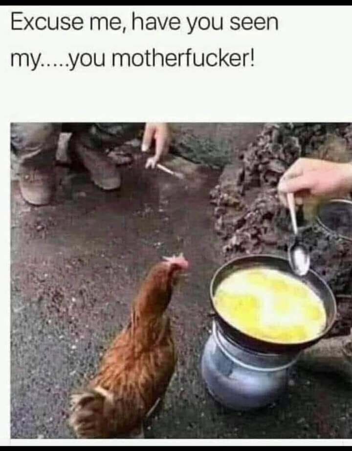 346475919_1282264595703573_6809688821063120383_n.jpeg