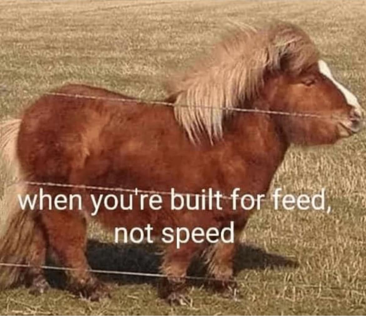 346786997_260206413243975_359900349334573606_n.jpeg