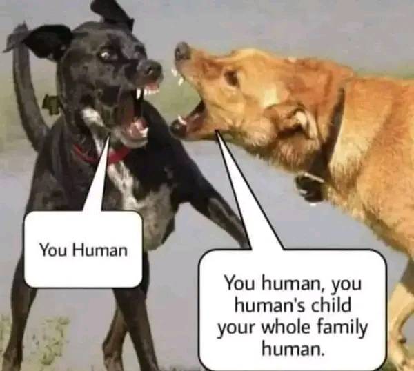 346811013_799365631816626_924201789182754497_n.jpeg