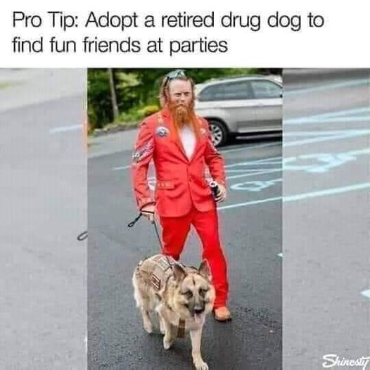 346886037_742214070937325_4985412827277186785_n.jpeg