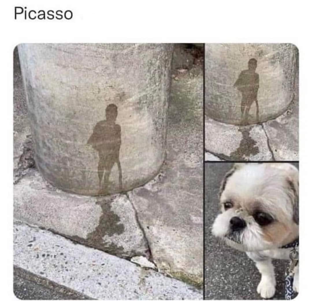 346951937_1382098479036527_5922062249859038769_n.jpeg