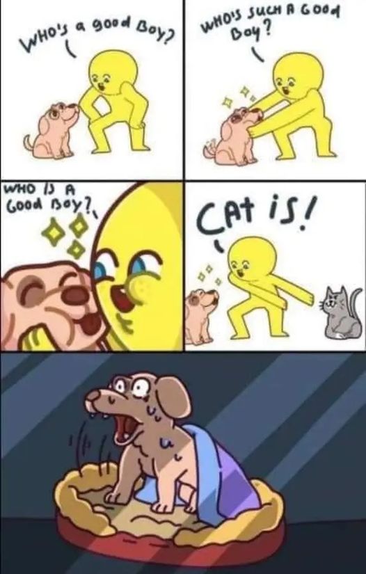 347020764_987939595912380_8080091221629535854_n.jpeg