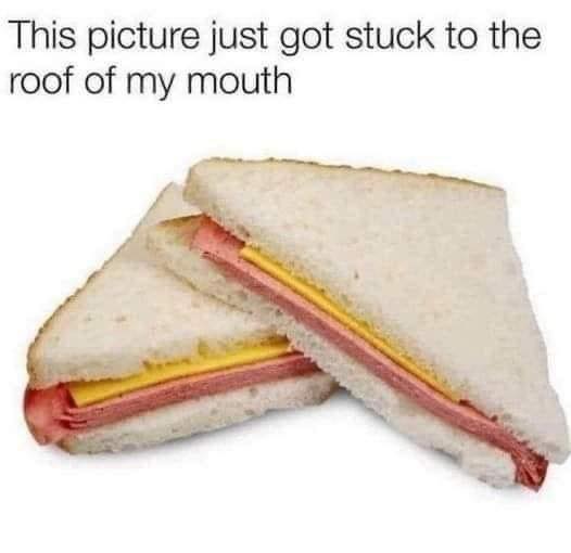 347135578_258336000102438_1009314502552928650_n.jpeg