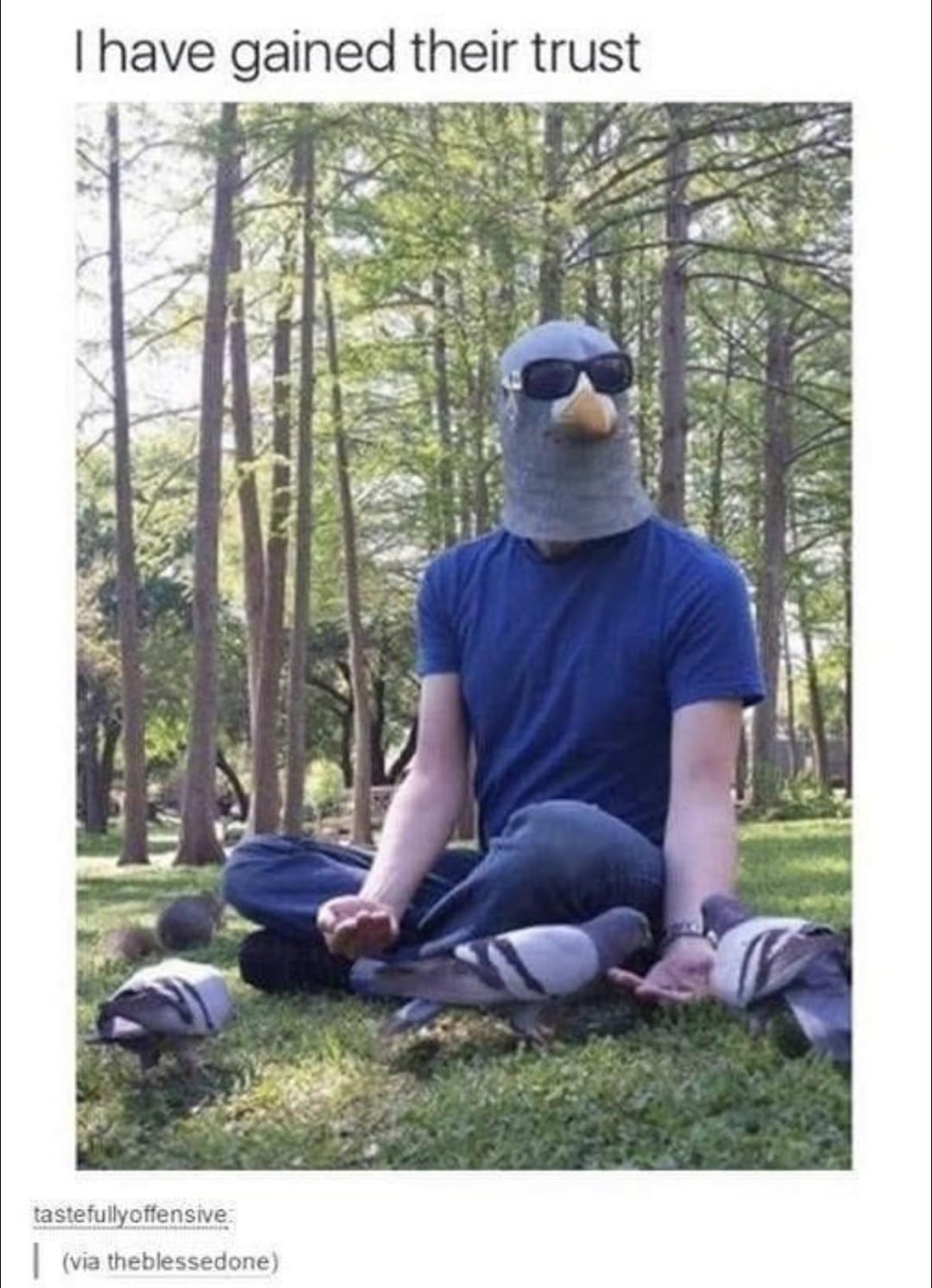347142322_9124898074250640_1563670023014815740_n.jpeg