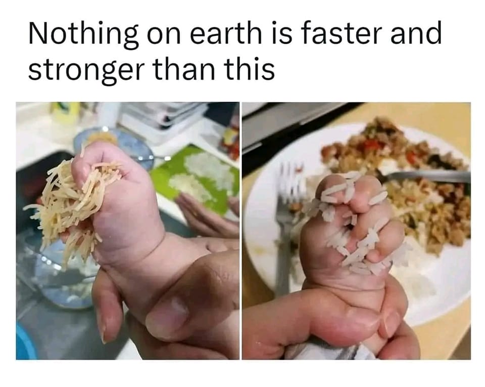 347240902_604503985114450_2305493386898851369_n.jpeg