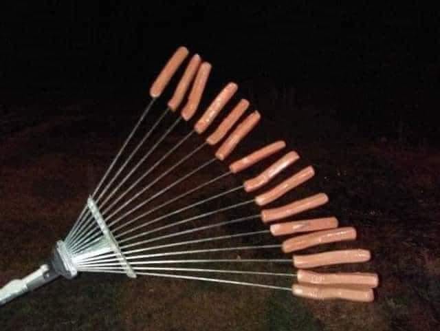 347253511_750260760175277_8221048844220225710_n.jpeg