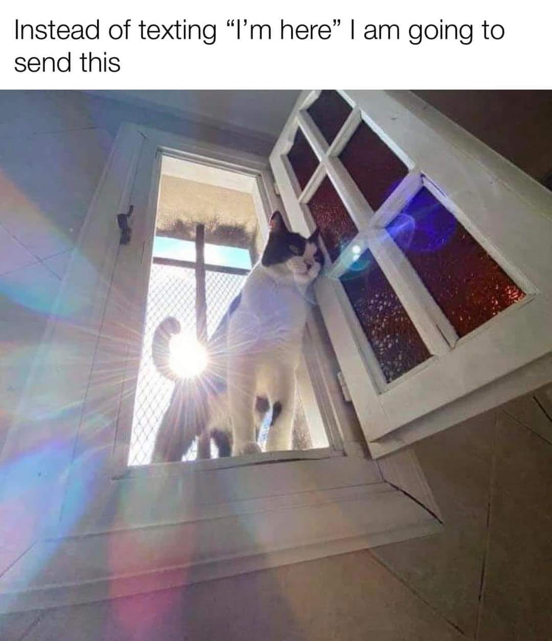 347276637_1015680912747228_5215449850240978064_n.jpeg